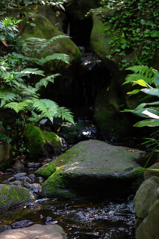 Gardens of Tokyo IV - Art Print