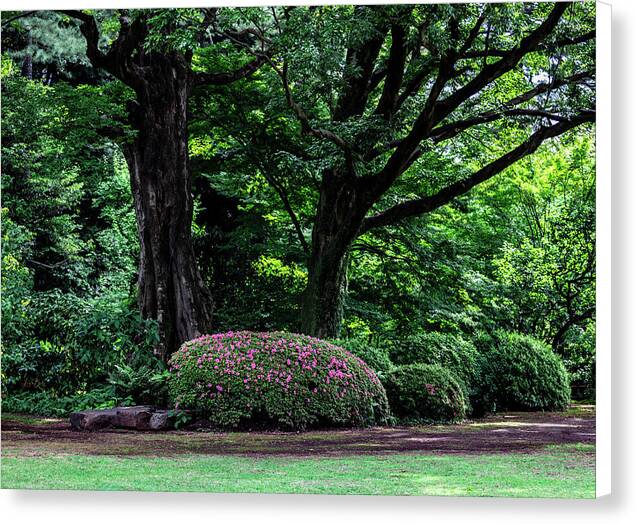 Gardens of Tokyo - Canvas Print