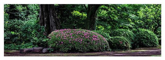 Gardens of Tokyo - Yoga Mat