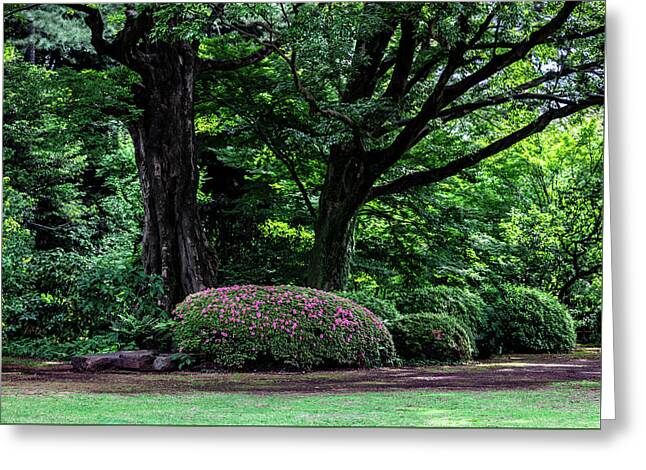 Gardens of Tokyo - Greeting Card