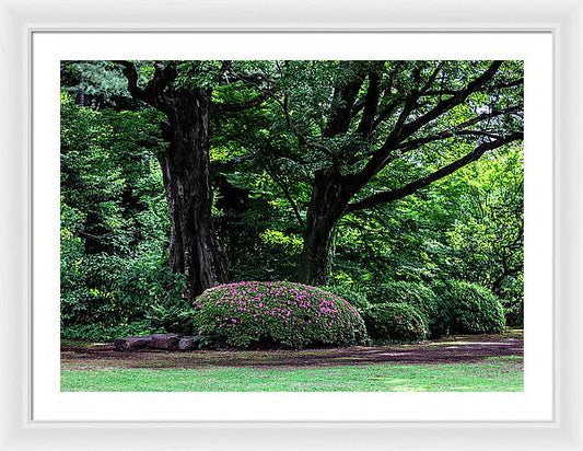 Gardens of Tokyo - Framed Print