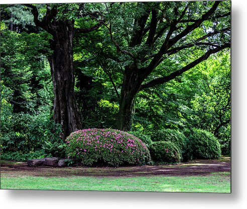 Gardens of Tokyo - Metal Print