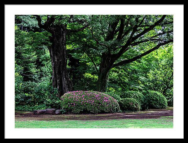 Gardens of Tokyo - Framed Print