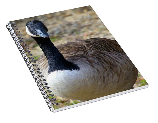 Lake Rim Goose - Spiral Notebook