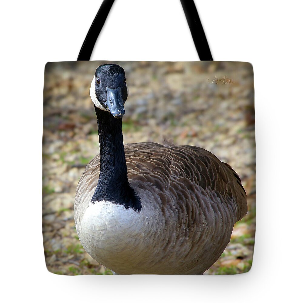 Lake Rim Goose - Tote Bag
