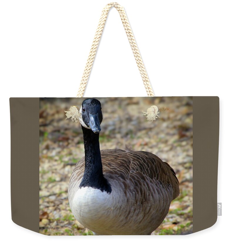 Lake Rim Goose - Weekender Tote Bag
