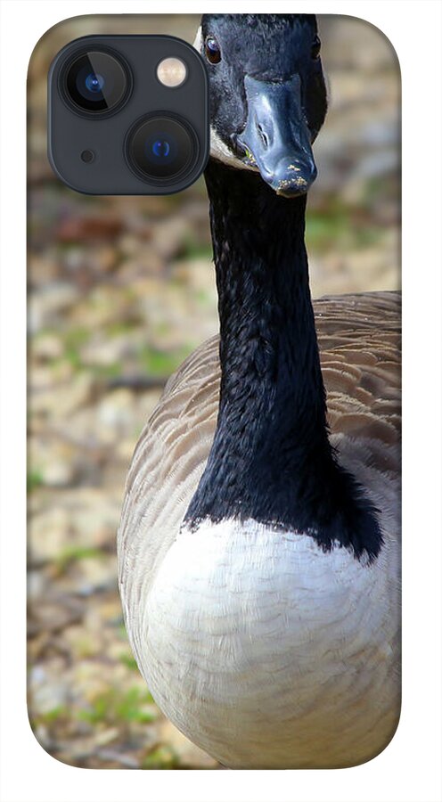 Lake Rim Goose - Phone Case