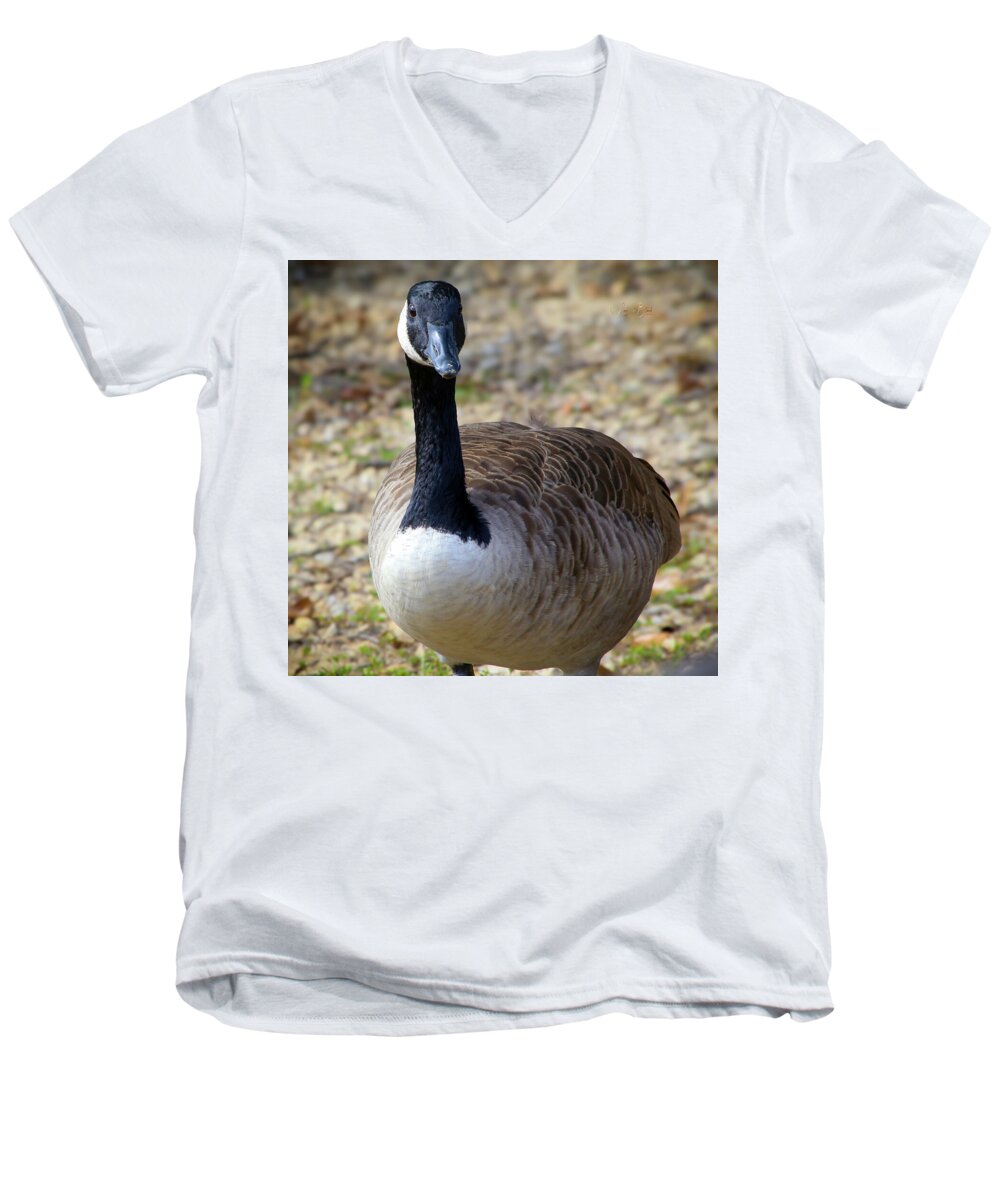Lake Rim Goose - Men's V-Neck T-Shirt