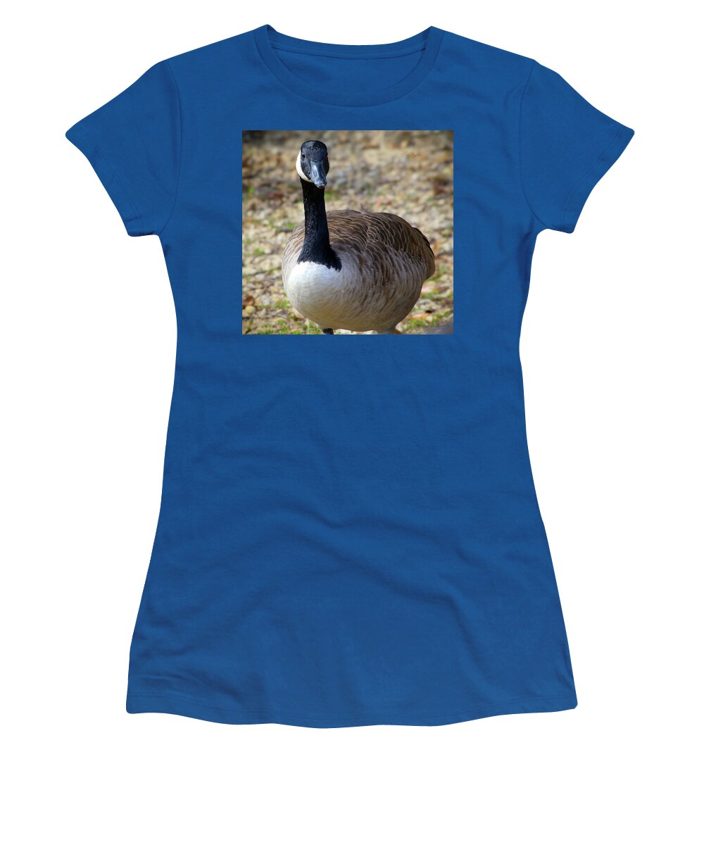 Lake Rim Goose - Women's T-Shirt