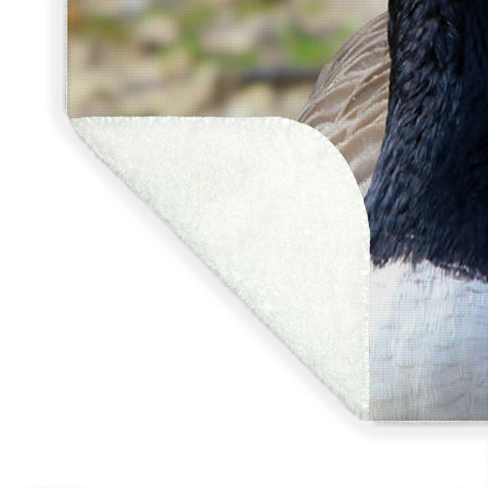 Lake Rim Goose - Blanket