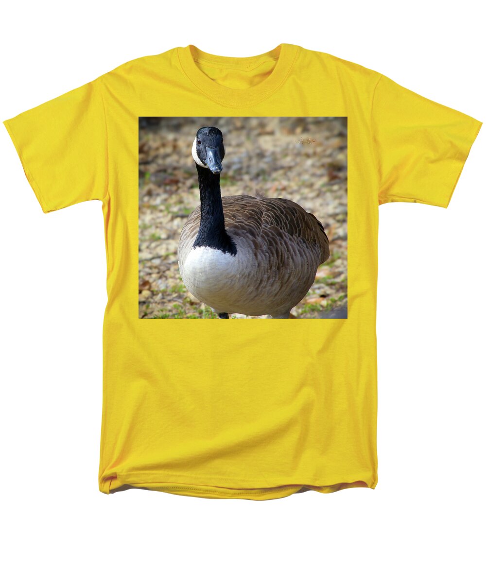 Lake Rim Goose - Men's T-Shirt (Regular Fit)