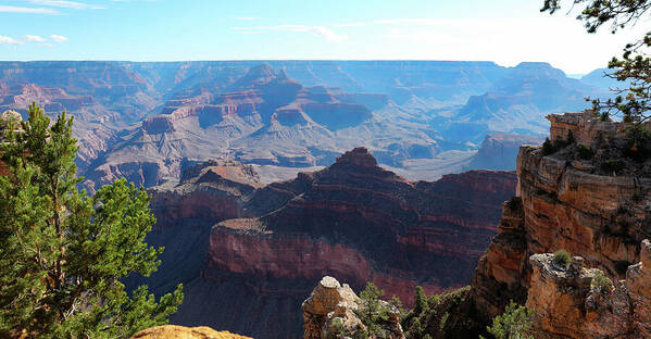 The Grand Canyon - Art Print