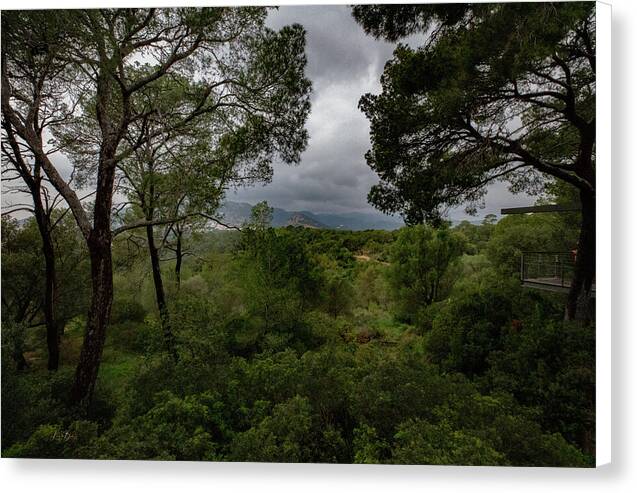 Hillside View from Spain Castle Gardens - Canvas Print