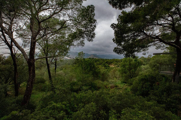 Hillside View from Spain Castle Gardens - Art Print