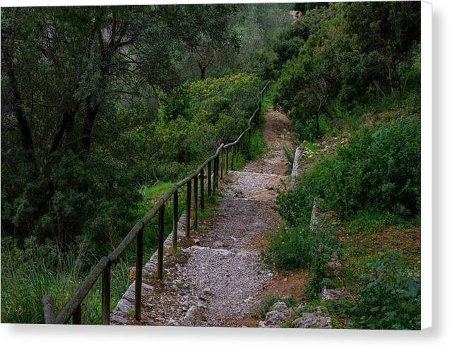 Hillside View from Spain Castle Gardens III - Canvas Print