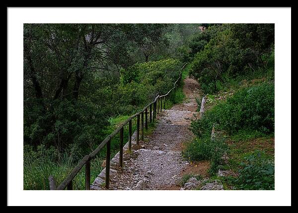 Hillside View from Spain Castle Gardens III - Framed Print