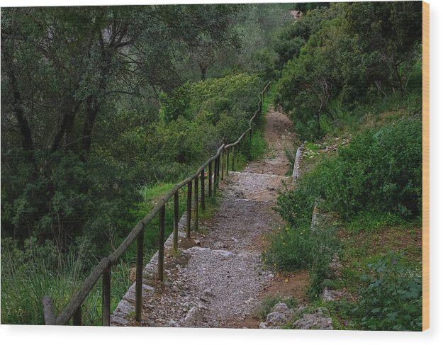 Hillside View from Spain Castle Gardens III - Wood Print