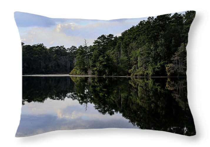Lake Rim of North Carolina II - Throw Pillow