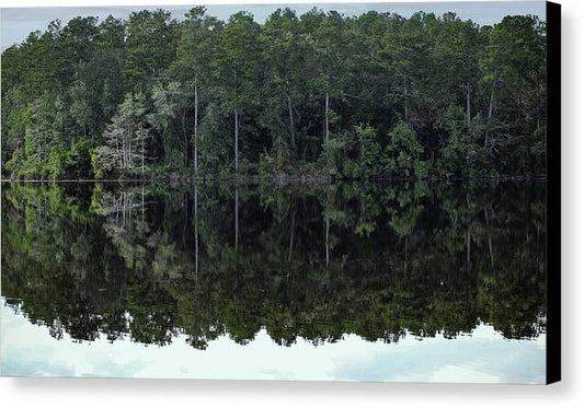 Lake Rim of North Carolina - Canvas Print