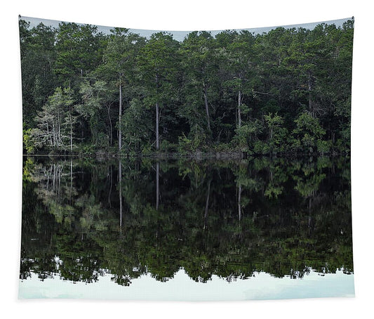 Lake Rim of North Carolina - Tapestry