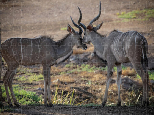 Love You, Too - Puzzle