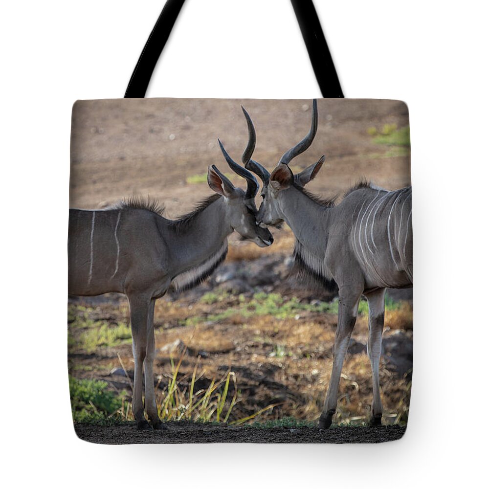 Love You, Too - Tote Bag