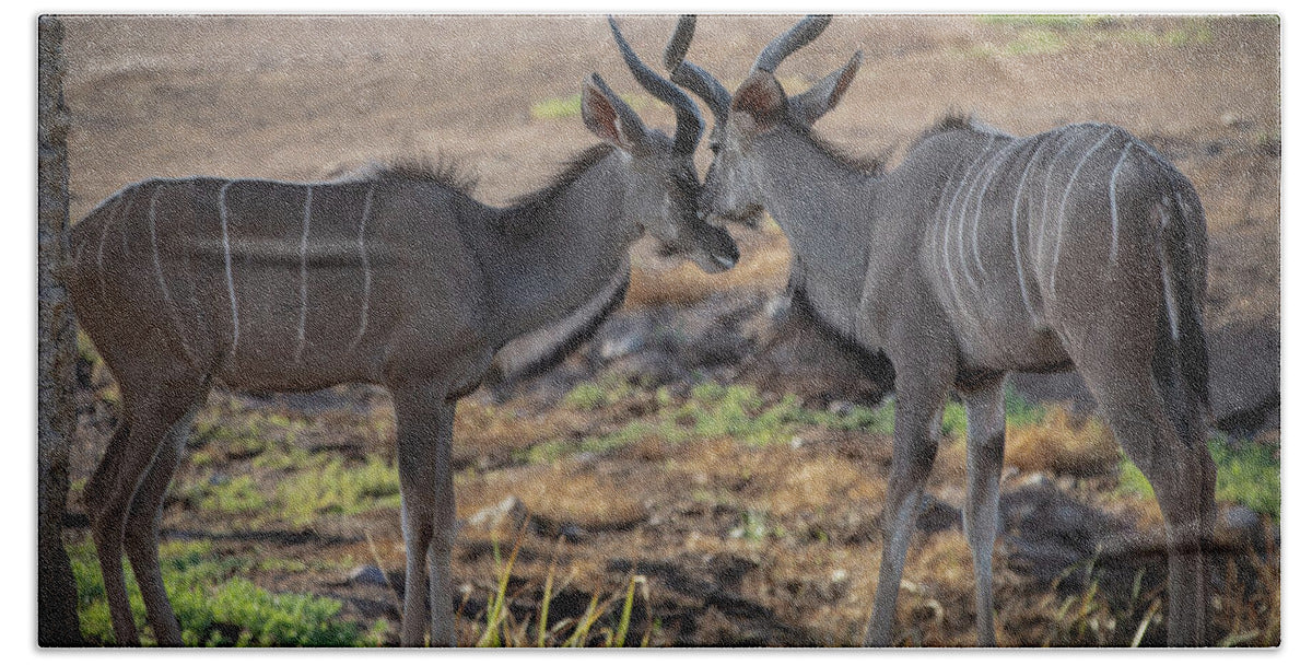 Love You, Too - Bath Towel