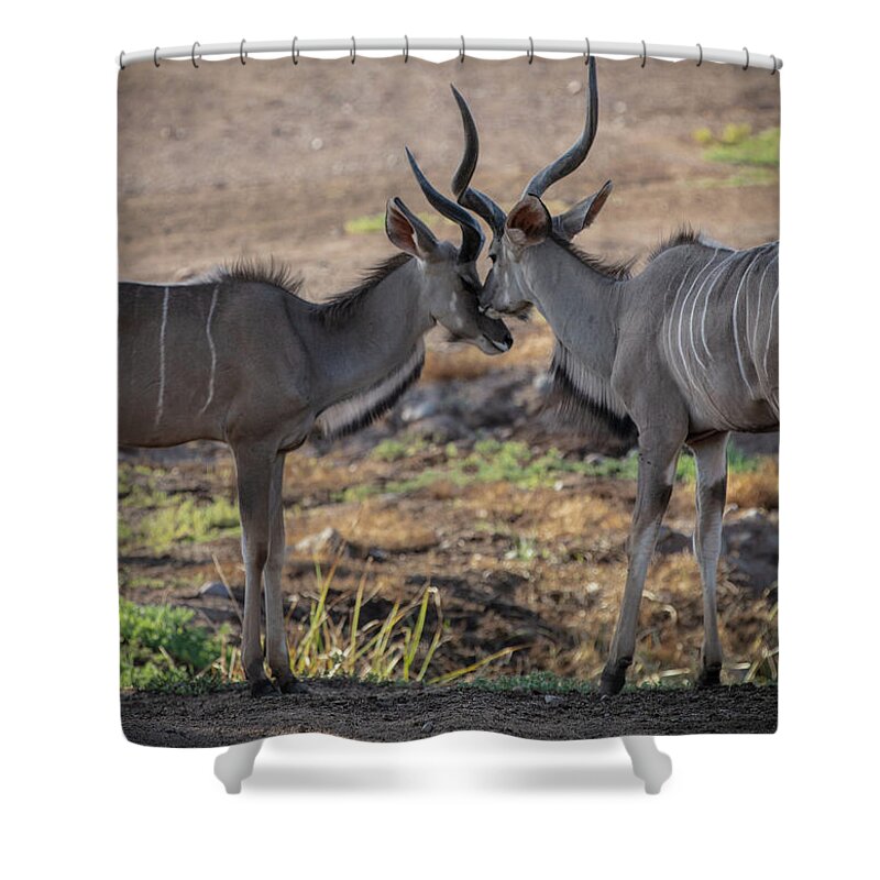 Love You, Too - Shower Curtain