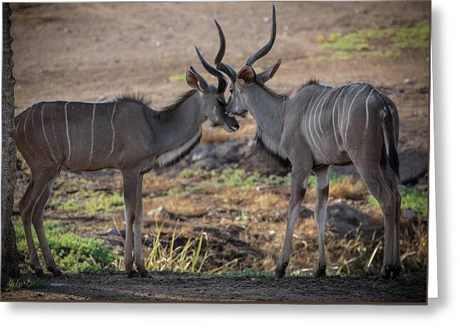 Love You, Too - Greeting Card