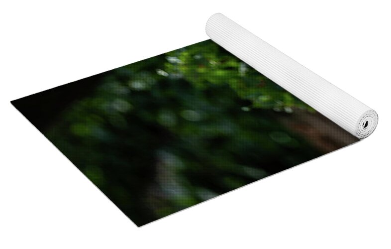 Reverse Fly Flamingo - Yoga Mat