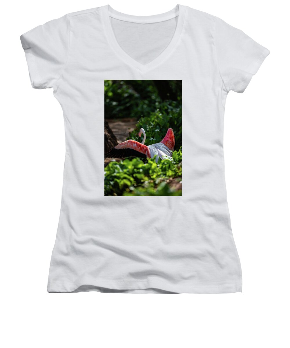 Reverse Fly Flamingo - Women's V-Neck