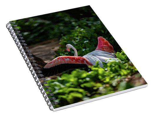 Reverse Fly Flamingo - Spiral Notebook