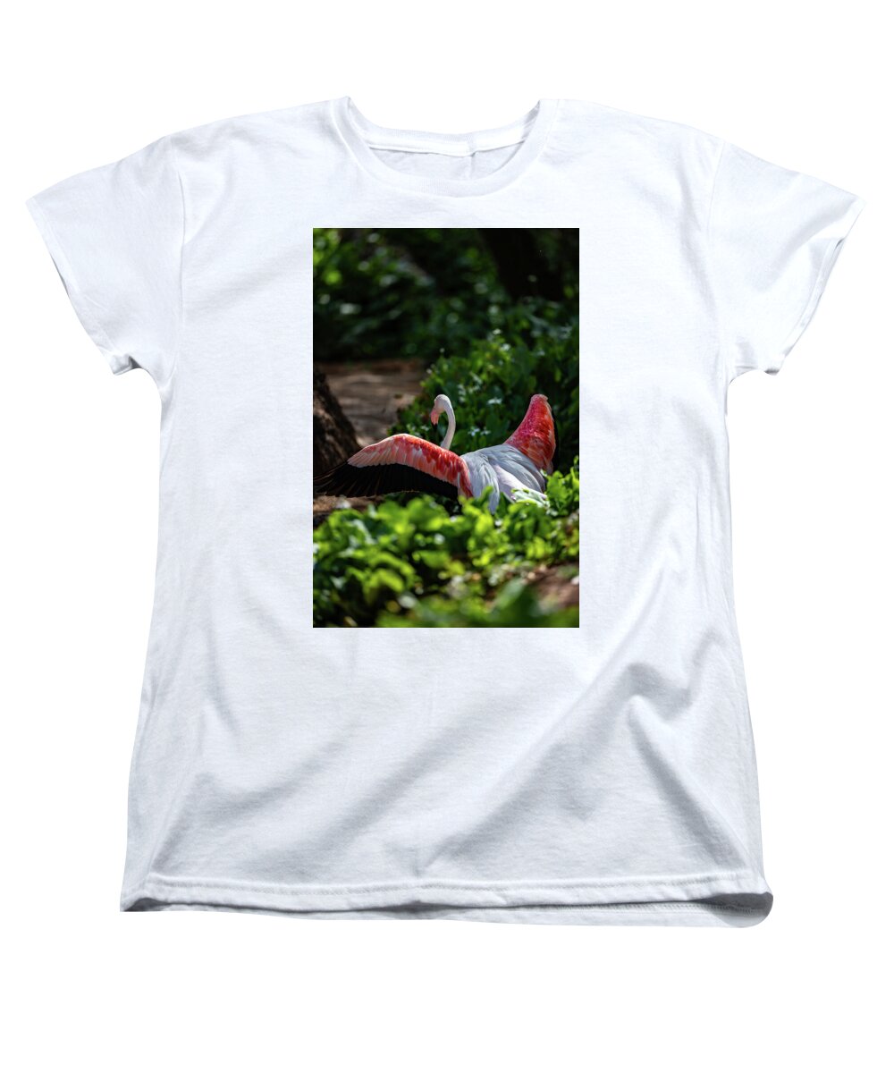 Reverse Fly Flamingo - Women's T-Shirt (Standard Fit)