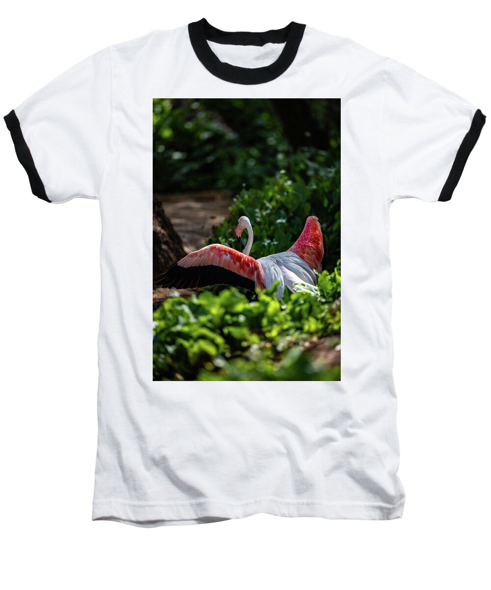 Reverse Fly Flamingo - Baseball T-Shirt