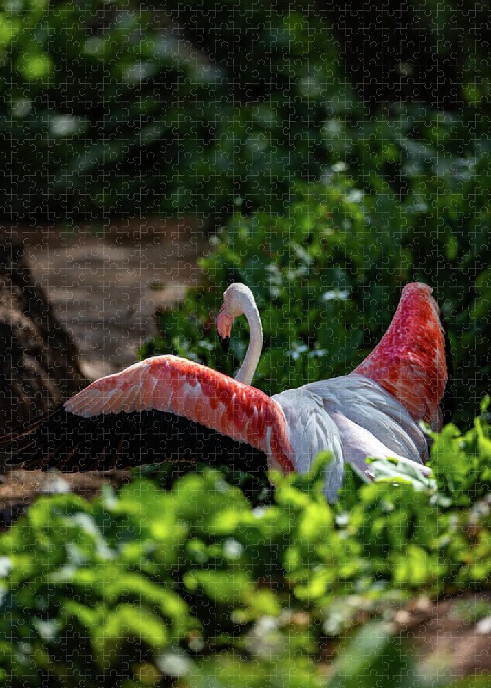 Reverse Fly Flamingo - Puzzle