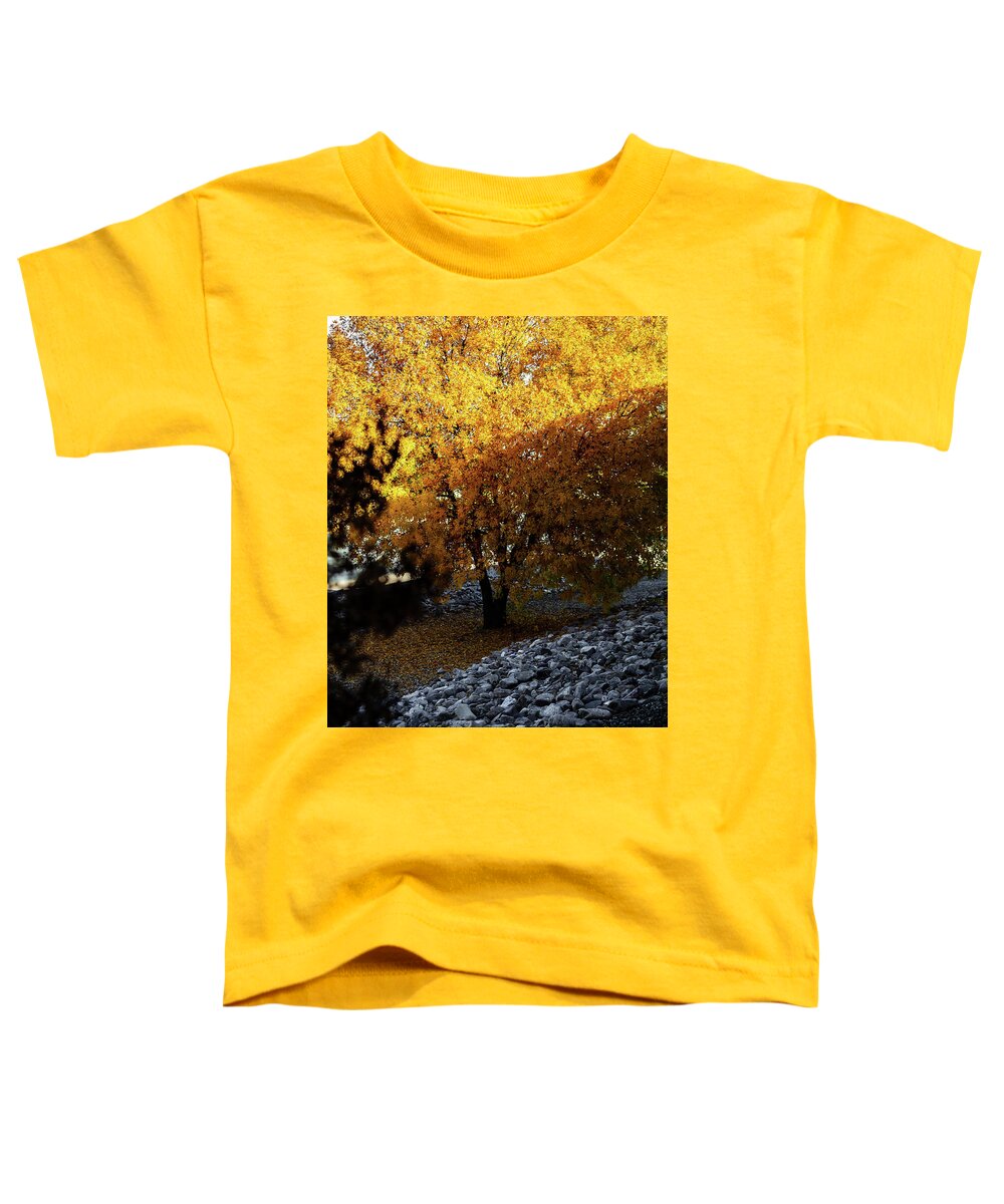 December in Arizona - Toddler T-Shirt