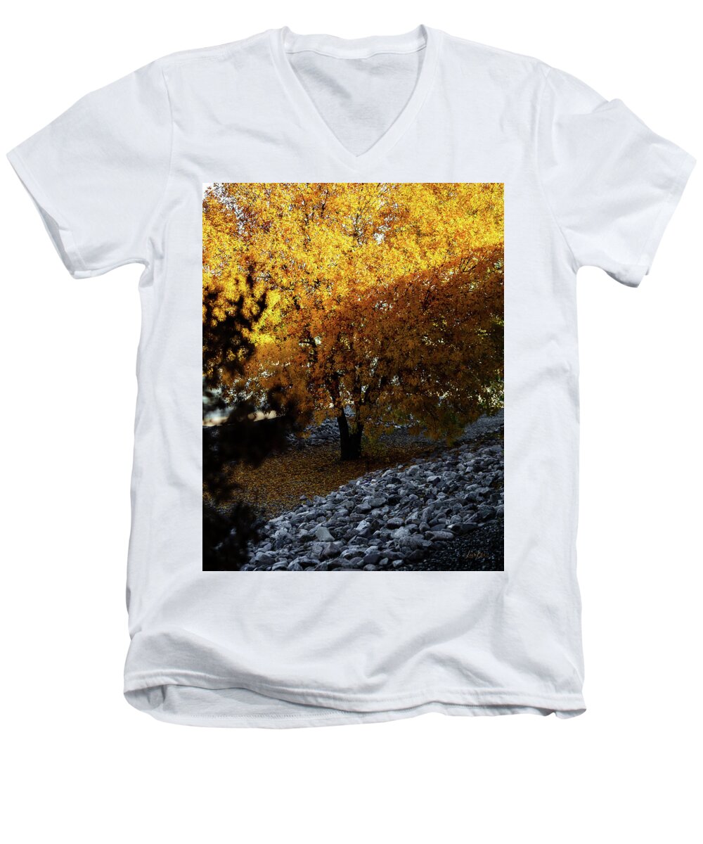 December in Arizona - Men's V-Neck T-Shirt