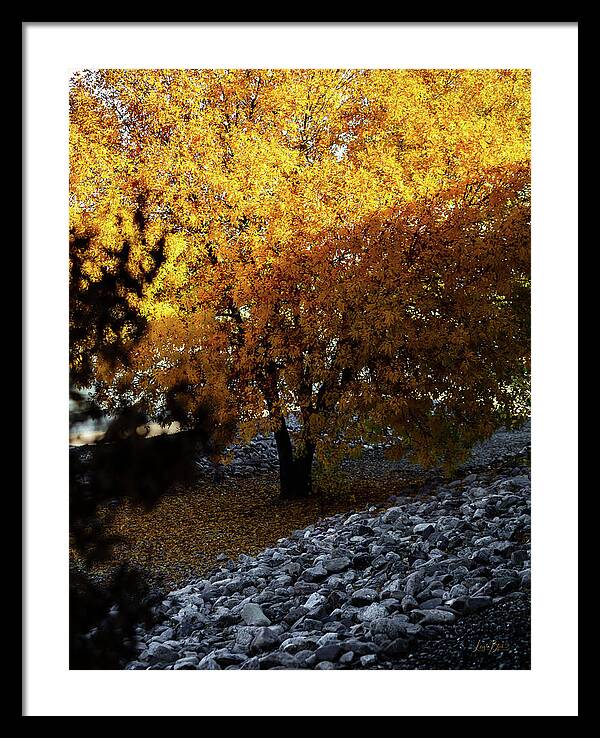 December in Arizona - Framed Print