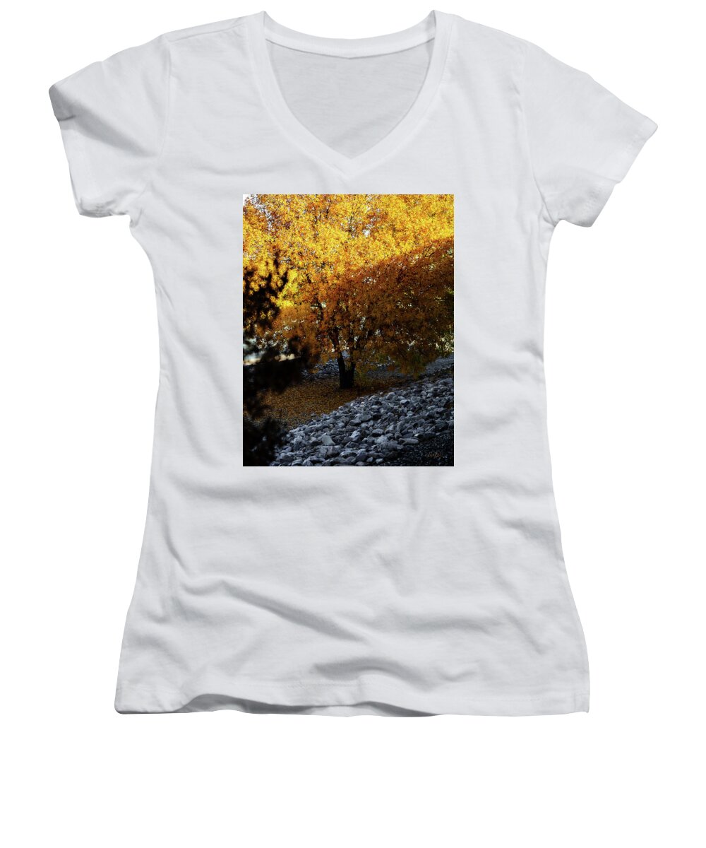 December in Arizona - Women's V-Neck