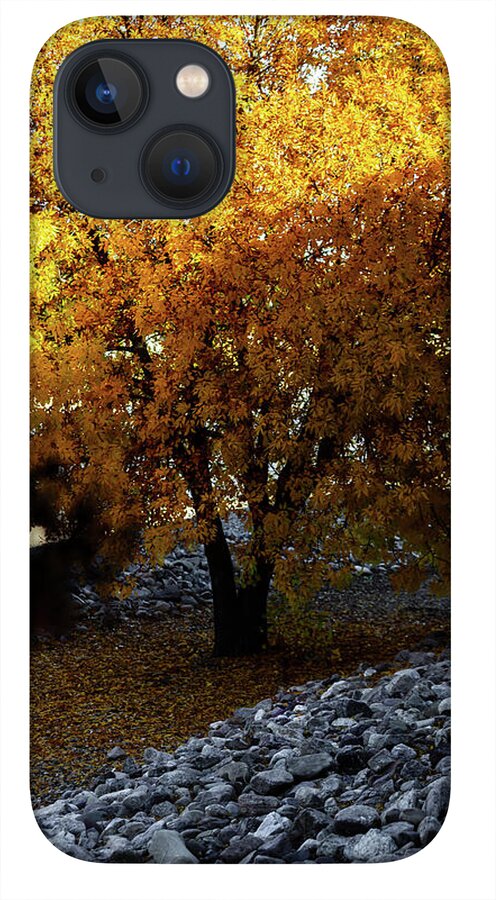 December in Arizona - Phone Case