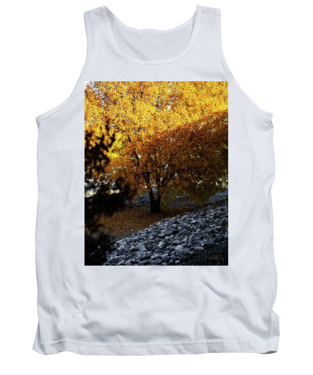 December in Arizona - Tank Top