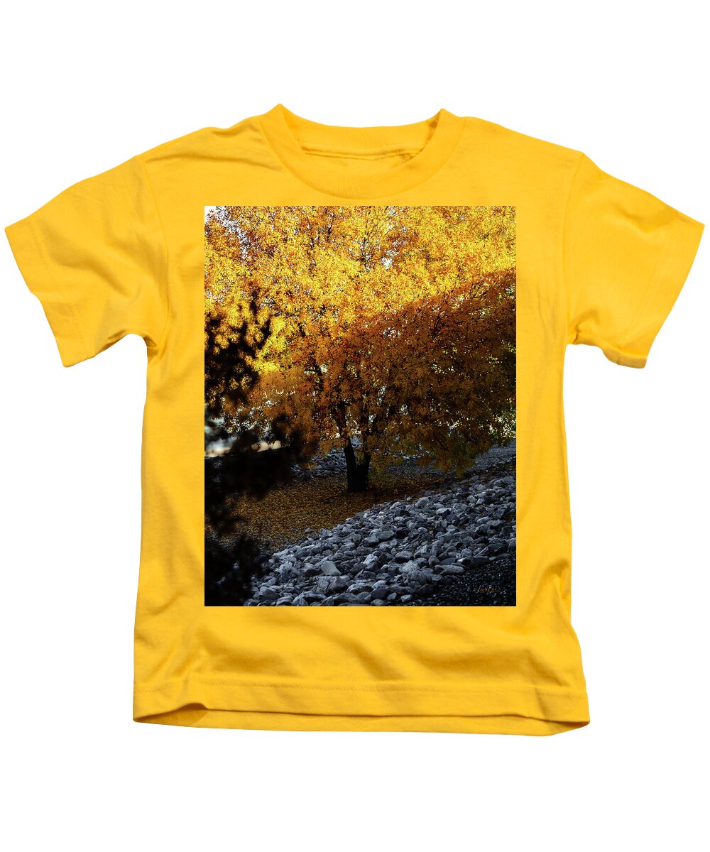 December in Arizona - Kids T-Shirt