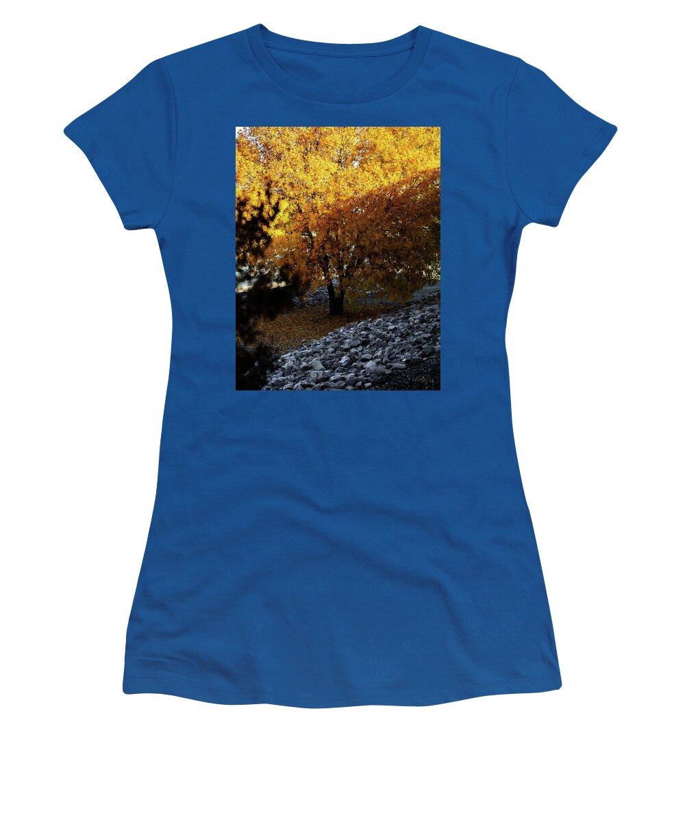 December in Arizona - Women's T-Shirt