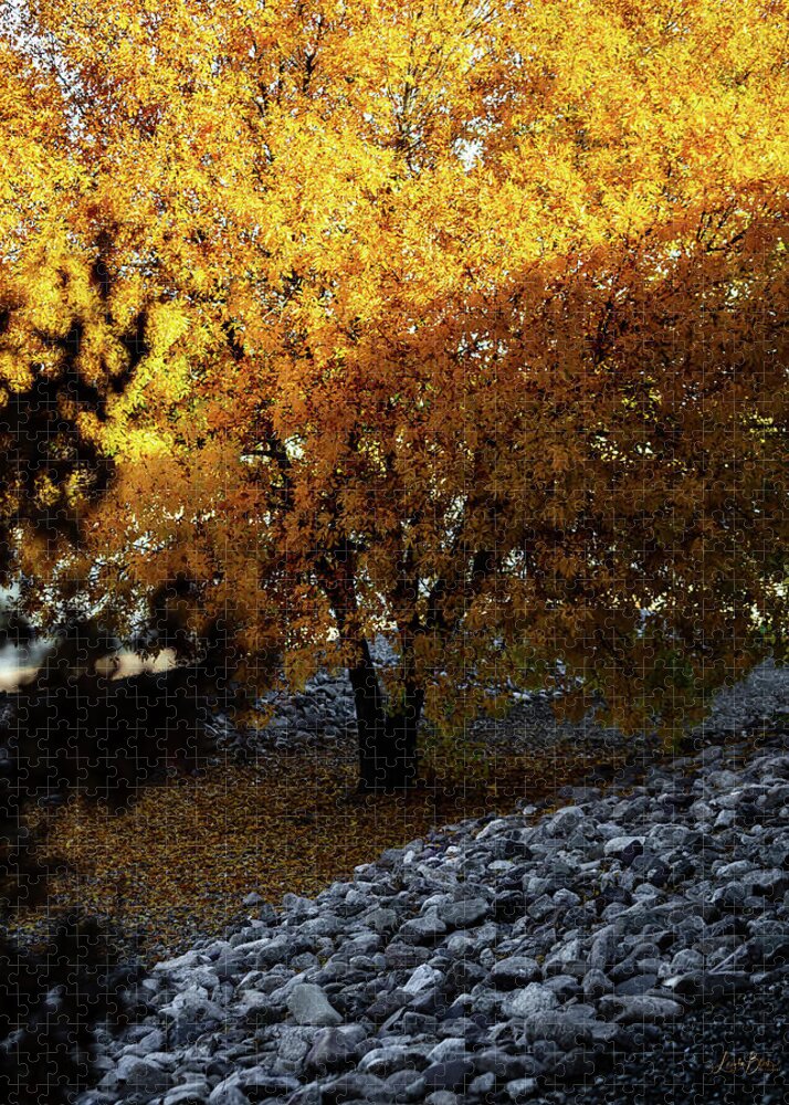 December in Arizona - Puzzle