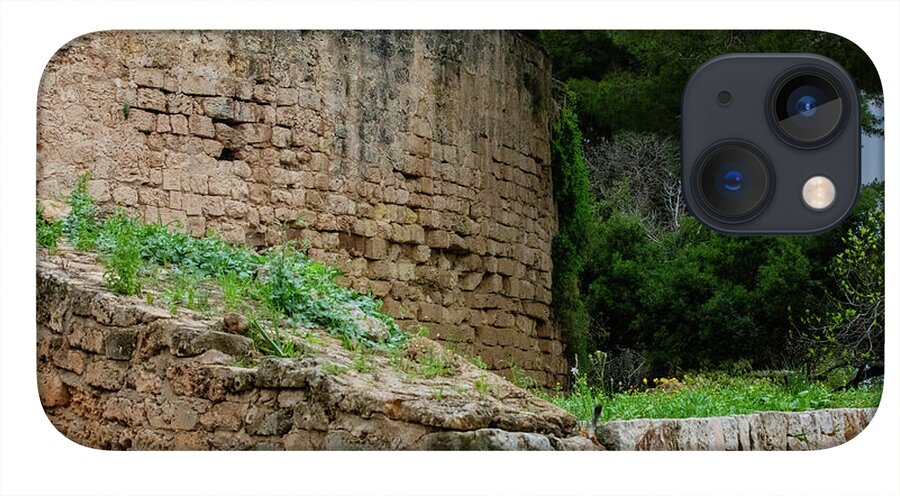 Spain Castle III - Phone Case