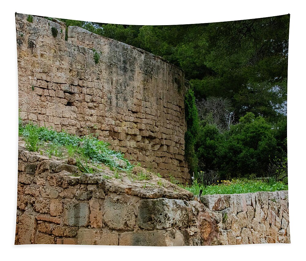 Spain Castle III - Tapestry