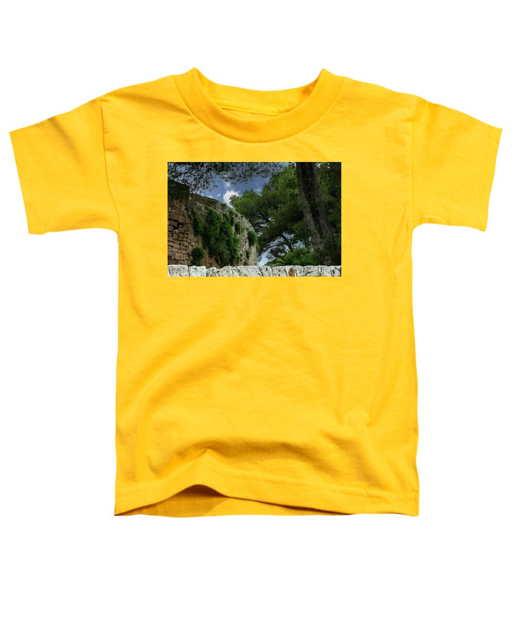 Spain Castle IV - Toddler T-Shirt
