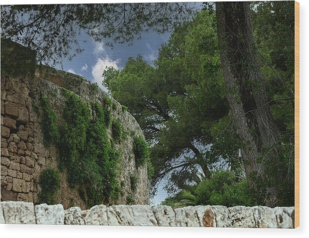 Spain Castle IV - Wood Print