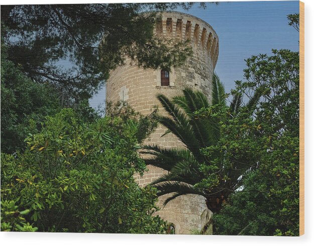 Spain Castle - Wood Print
