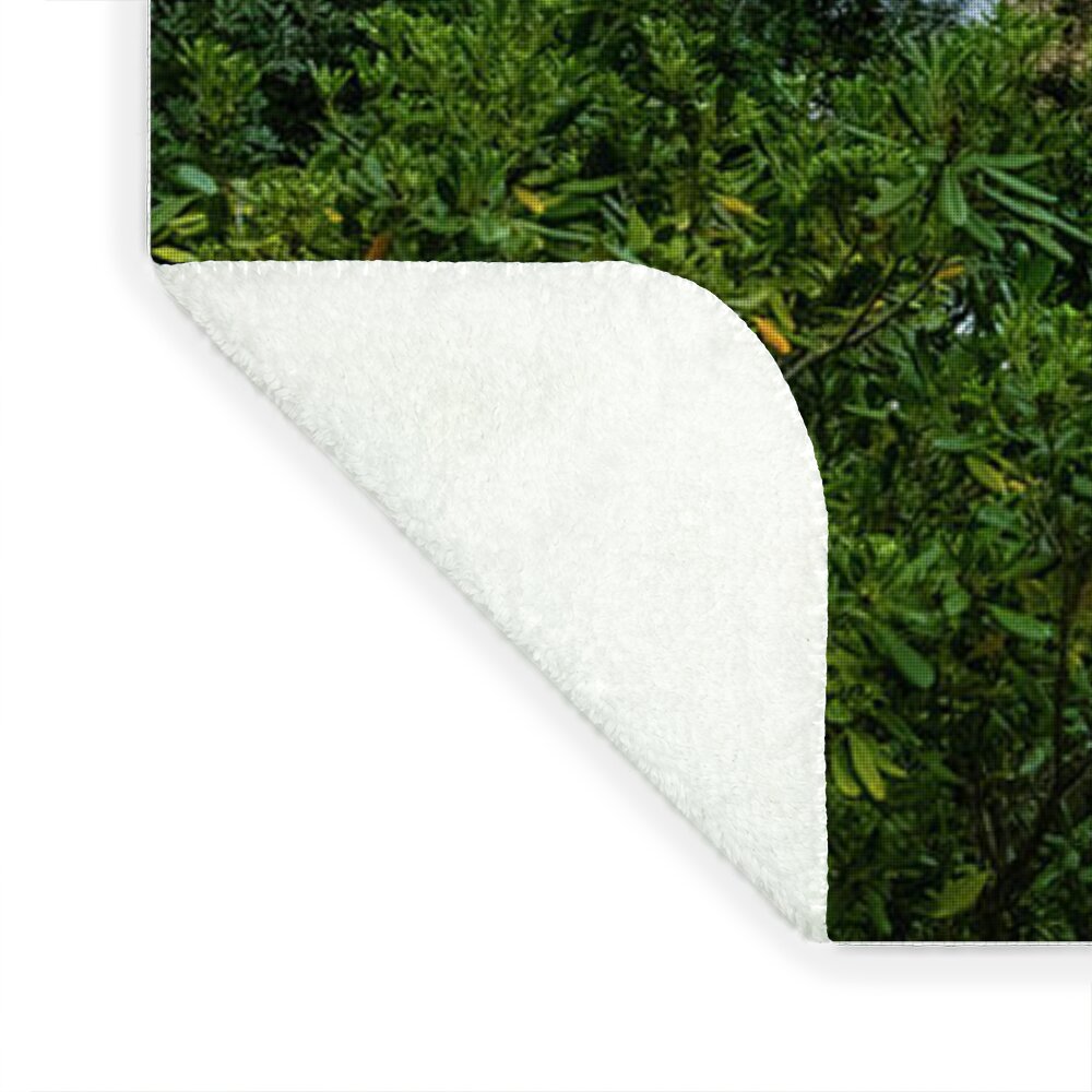 Spain Castle - Blanket